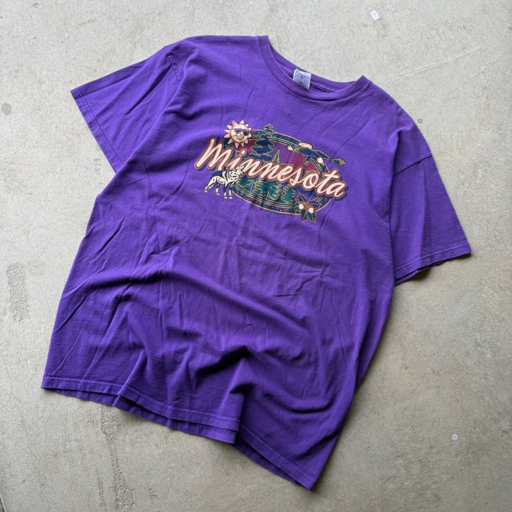 Y2K Mens Fruit of the Loom Minnesota Nature Graphic T-Shirt Purple XXL